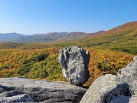 ������ ��������� � 