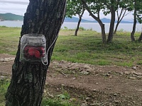 ������ ��������� � 