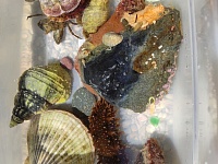 ������ ��������� � 