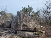 ������ ��������� � 