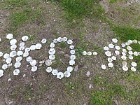 ������ ��������� � 