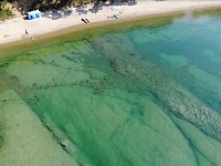 ������ ��������� � 