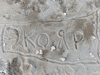 ������ ��������� � 