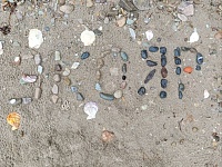 ������ ��������� � 