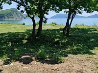 ������ ��������� � 