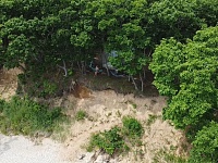 ������ ��������� � 