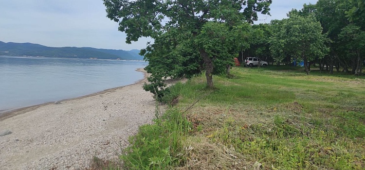 Первооткрывателям сезона