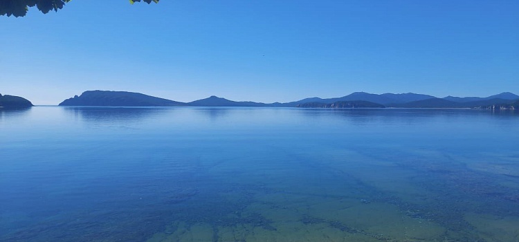 Бархатный сезон